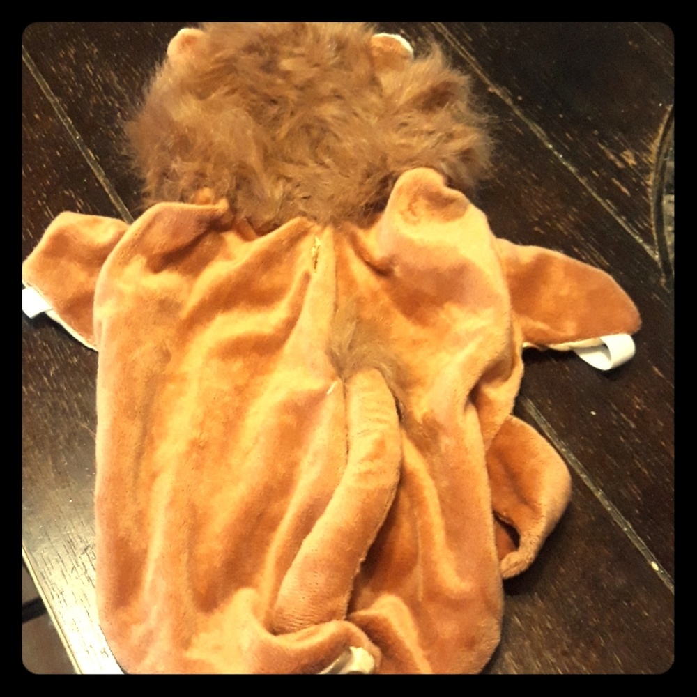 Spooky Village Pet costume(SKU499)